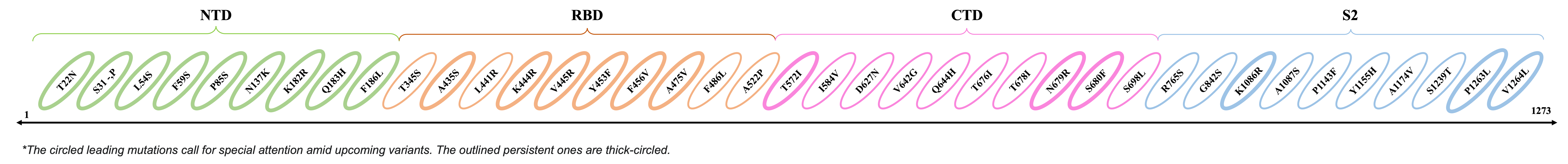 2025-02